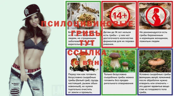 PSILOCYBIN Абинск